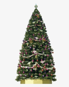 Big Decorative Christmas Tree Png Image - Big Christmas Tree Png, Transparent Png, Transparent PNG