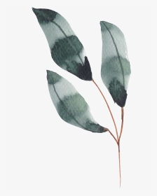 Hand Painted Dark Green Leaves Watercolor Transparent - Watercolor Dark Green Leaves, HD Png Download, Transparent PNG