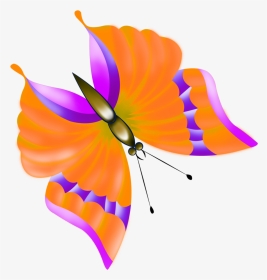Butterfly, HD Png Download, Transparent PNG