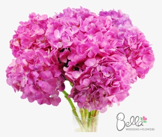 Pink Hydrangeas, HD Png Download, Transparent PNG