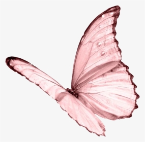 #ceiaxostickers #transparent #overlay #sticker #tumblr - Pink Butterfly Transparent Background, HD Png Download, Transparent PNG