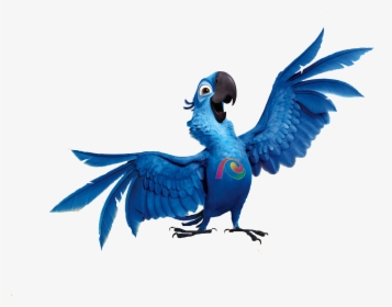 Bird Clipart Rio - Rio Png, Transparent Png, Transparent PNG