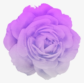 #flower #rose #blume #purple #pastel #pink #white #trend - Aesthetic Purple Flower Png, Transparent Png, Transparent PNG