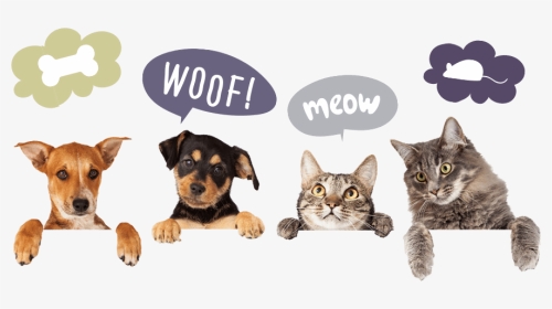 Two Dogs And Two Cats Cutout With Thought Bubbles - Dog Hanging Over Wall, HD Png Download, Transparent PNG