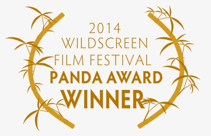 Panda Awards Logo, HD Png Download, Transparent PNG