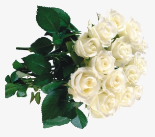 White Roses In Bouquets - Букет Белые Розы Пнг, HD Png Download, Transparent PNG