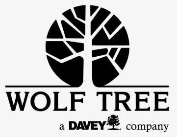 Wolf Tree Inc - Wolfe Tree, HD Png Download, Transparent PNG