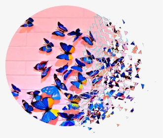 #butterfly #butterflies #pink #blue #nature #pinkaesthetic - Aesthetic Design Aesthetic Butterfly, HD Png Download, Transparent PNG