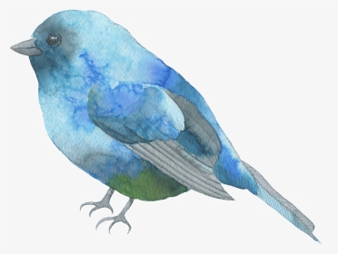 Blue Feather Bird Watercolor Transparent Decorative - Watercolor Bird Transparent Background, HD Png Download, Transparent PNG