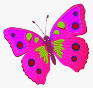 Картинка Бабочка Для Детей На Прозрачном Фоне, День - Brush-footed Butterfly, HD Png Download, Transparent PNG