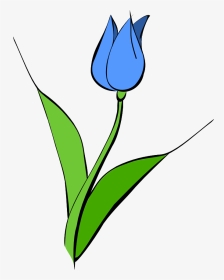 Tulipblue - Yellow Tulip Clipart, HD Png Download, Transparent PNG
