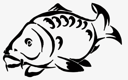 Tuna Fish Clipart Black And White Clip Free Library - Carp Fish Drawing, HD Png Download, Transparent PNG