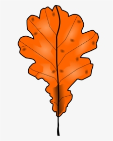 Dead Tree Leaf Clipart , Png Download - Dead Tree Leaf Clipart, Transparent Png, Transparent PNG