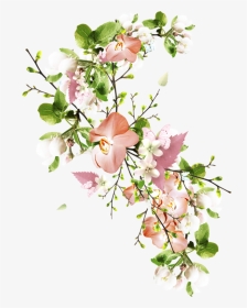 Flower, HD Png Download, Transparent PNG