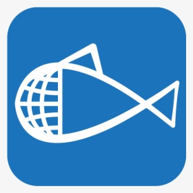 Fish, HD Png Download, Transparent PNG