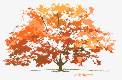 Do Trees Look Like In Each Season, HD Png Download, Transparent PNG