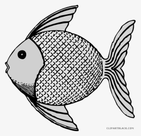 Transparent Coral Reef Clipart Black And White - Fish Clip Art, HD Png Download, Transparent PNG