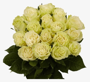 Green Roses Next Day Roses Delivery - Floribunda, HD Png Download, Transparent PNG