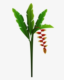 Tropical Plant Png - Red Tropical Flower Clip Art, Transparent Png, Transparent PNG