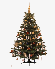 Christmas Tree Traditional Png Image - Christmas Tree, Transparent Png, Transparent PNG