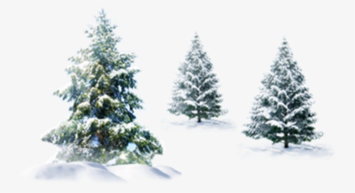 #ftestickers #winter #snow #landscape #trees #pine - Transparent Background Christmas Snow Png, Png Download, Transparent PNG