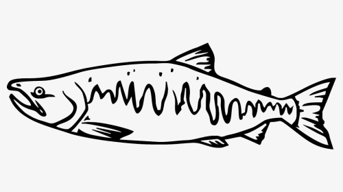 Salmon Clipart Tiny Fish - Chinook Salmon Black And White, HD Png Download, Transparent PNG