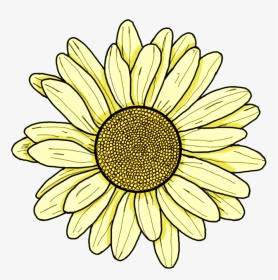 #yellow #flower #daisy #sunflower #sping #summer #pretty - Aesthetic Yellow Flower Drawing, HD Png Download, Transparent PNG