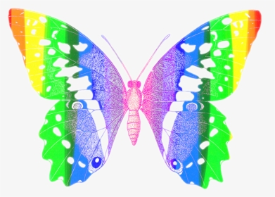 #butterfly #colorful #butterflyeffect #red #orange - Papilio Machaon, HD Png Download, Transparent PNG