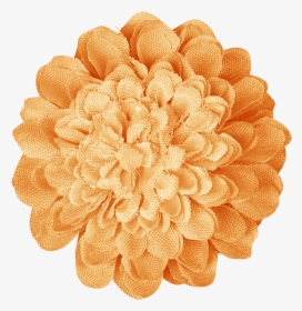 Dahlia, HD Png Download, Transparent PNG