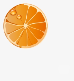 Clipart Orange Slice Clipart - Naranjas Rodajas Dibujos, HD Png Download, Transparent PNG