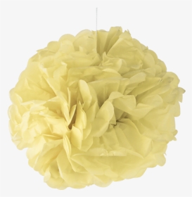 Pale Yellow Paper Pom Poms - Carnation, HD Png Download, Transparent PNG