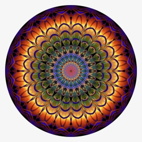 Flower,symmetry,spiral - Illustration, HD Png Download, Transparent PNG