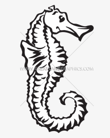 Fish With Bubbles Clipart Black And White Transparent - Pipefishes And Allies, HD Png Download, Transparent PNG