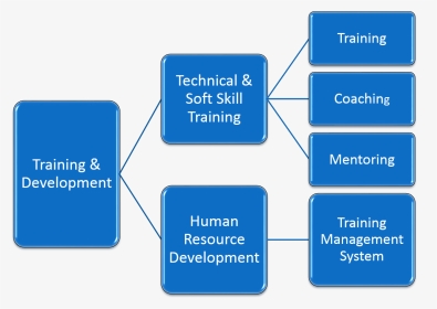 Training And Development Models, HD Png Download, Transparent PNG