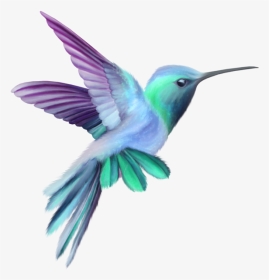 Orchid Drawing Hummingbird - Pink And Purple Hummingbird, HD Png Download, Transparent PNG