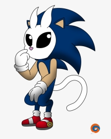 Sonic The Hedgehog - Ori And Sonic, HD Png Download, Transparent PNG