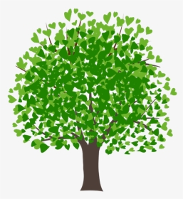 Лиственное Дерево, Зеленое Растение, Флора, Дерево, - Mango Tree Images Clipart, HD Png Download, Transparent PNG