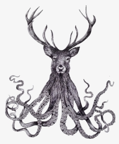 #octopus #deer - Drawing Art, HD Png Download, Transparent PNG