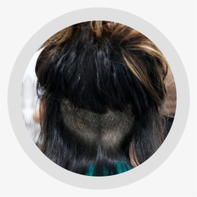 Lace Wig, HD Png Download, Transparent PNG