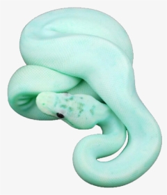 #snake #pastel #aesthetic #freetoedit - Pastel Blue Snake, HD Png Download, Transparent PNG
