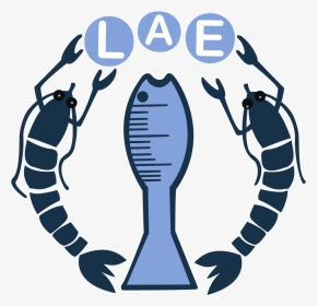 Logo Lae, HD Png Download, Transparent PNG