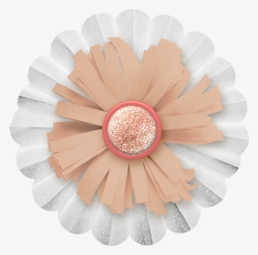 #cuorelucymy - Barberton Daisy, HD Png Download, Transparent PNG
