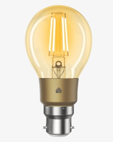 Incandescent Light Bulb, HD Png Download, Transparent PNG
