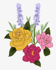 วาด ดอกไม้, HD Png Download, Transparent PNG