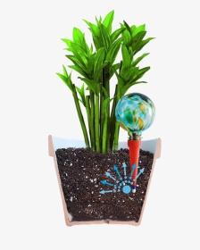 Plant Watering System, HD Png Download, Transparent PNG
