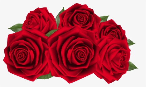 Transparent Roses Clipart - Beautiful Red Rose Png, Png Download, Transparent PNG