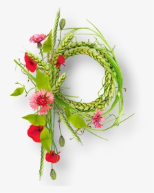 Floral Frame Png - Anthurium, Transparent Png, Transparent PNG