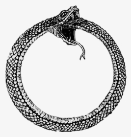 #snake #circle - Snake Circle, HD Png Download, Transparent PNG