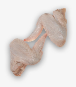 Duck Meat, HD Png Download, Transparent PNG