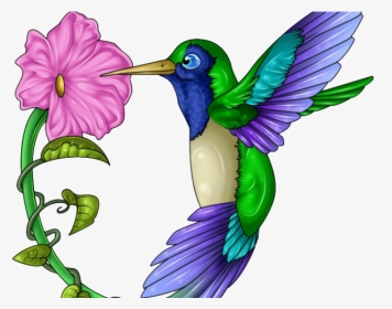 Colorful Color Hummingbird Drawing, HD Png Download, Transparent PNG